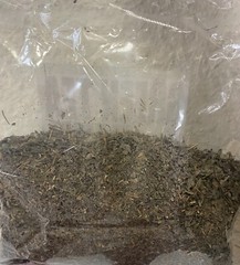 green tea te verde natural camellia sinensis 100% 4oz