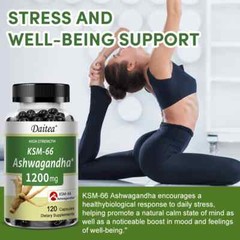 KSM-66 Ashwagandha 1200MG Maximum Strength 120 Capsules– Omnipotent Nutrition