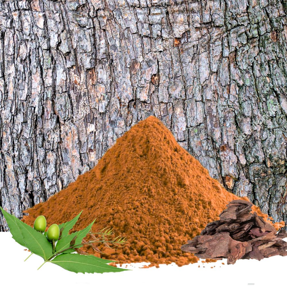 Organic Neem Bark Powder | 100% Natural Azadirachta indica Skincare Oral Health