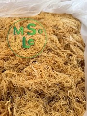 Premium Grade A Gold Sea Moss – 20 lbs (Bulk Wholesale)