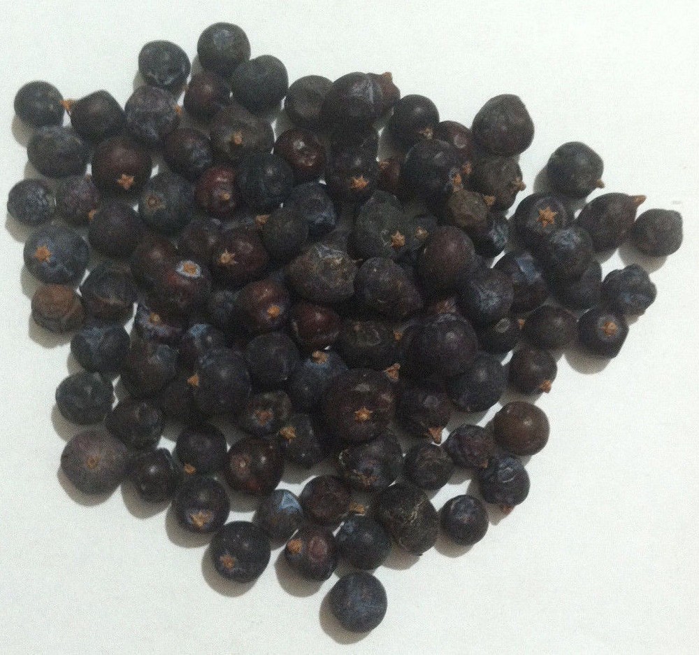 1 oz. Juniper Berry (Juniperus communis) Organic & Kosher Bulgaria