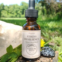 Organic Stress Resilience Tincture 1 oz Herbal Extract | Tulsi, Rose & Linden