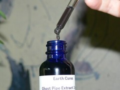 Ghost Pipe Extract 2 ounces Wildcrafted pain relief free shipping