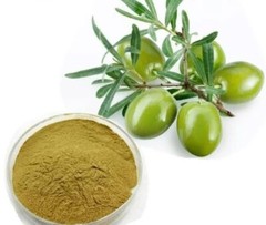 Olive Leaf Extract 40% Oleuropein Cardiovascular & Heart Health Highest Quality