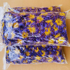 Dried BLUE LOTUS Nymphaea Caerulea 100% Organic Herbal Hand Picked Pure Flowers