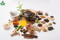 Olive Leaf Extract Powder 40% Oleuroprein Strongest Immune Support 250g/8.81 oz