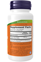 NOW Stinging Nettle Root Extract 250mg 90 Veg Capsules – Prostate Health