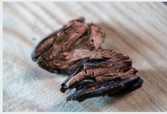 Black Walnut Hull Cut & Sifted Organic Herb Natural Herbal 28.3g Parasite Detox