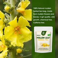 140Pcs Mullein Tea Bags For Lung Cleanse Herbal Tea Natural Mullein Tea