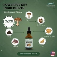 Organic Blood Sugar Support Tincture Mushrooms & Herb Liquid Drop Glucose Health