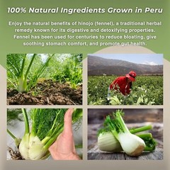 Hinojo 40g Fennel 1.4oz Herbal Tea from Peru