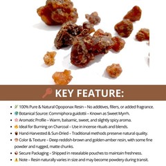 1 oz Frankincense Myrrh Copal 3 kings Arabic Gum Opoponax Dragon Blood Pea Resin