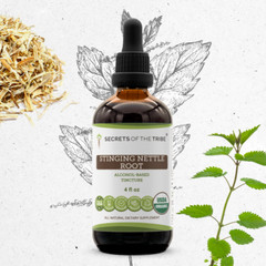 Secrets Of The Tribe Stinging Nettle Root Tincture