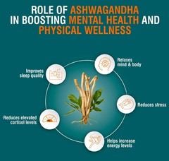 10 X Himalaya Wellness Pure Herbs Ashvagandha (60 Tablets Each) = 600 Tabs