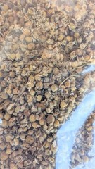 One Pound CHAMOMILE Egyptian Whole Flowers (1 LB) 454 grams Monterey Bay Herb Co