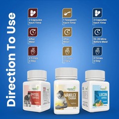 Ujwala Ayurvedashram Pymol + Livcon Capsule and Manulex Churna (Pack of 3)