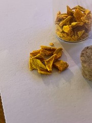 Organic Turmeric – Dehydrated – 3g
