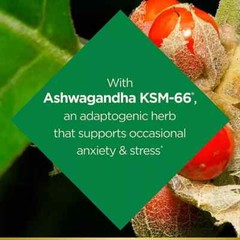 Nature’s Bounty Anxiety & Stress Relief Ashwagandha Ksm-66 Tablets, 50 Count
