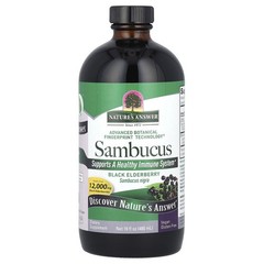 Sambucus, Black Elderberry, Alcohol-Free, 12,000 mg, 16 fl oz (480 ml)