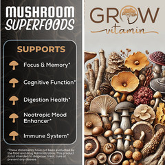Dr. Emil Nutrition Elite Lion’s Mane Mushroom Plus Chaga, Reishi & Maitake 2PACK