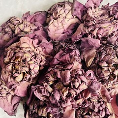 Ceylon Dried Pink Lotus Flower (Nelumbo Nucifera) Hand Packed Natural Organic ☕