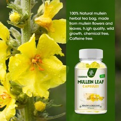 Mullein Leaf Extract 1500mg Herbal Extract Lung Cleanse Respiratory Supplement