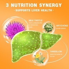 Double Strength Liver Supplement with Dandelion Non-GMO Vegan 30/60/120 Capsules