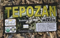 Tepozan hierba/te,Buddleja cordata,Palo de zorro prieto,tepozán grande,tepozán !