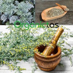 WORMWOOD Herb Tea Organic Artemisia Absinthium Digestion Natural Antibiotic Worm