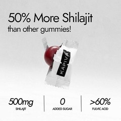 Kapiva Acti Foods Shilajit AllDay Energy Gummies Ginger Honey Flavour 60 Gummies
