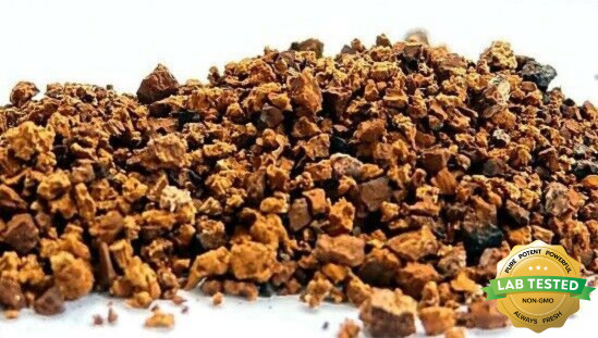 Wild Dry Chaga Mushroom Instant Pure Tea Raw Chunks 9 oz From Living Birch Trees