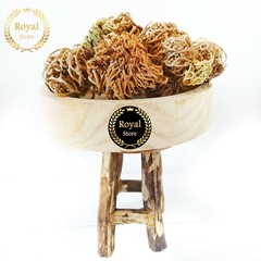 Flower Of Maryam Chaste Tree Herbs Palm Of Mary عشبة كف مريم – Choose weight