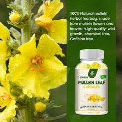 3Pack Mullein Leaf Capsules For Lung Cleansing & Detox Herbal Dietary Supplement