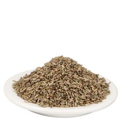 Apamarg Seeds Apoot Kanta Uttareni Seeds Latrija Beej Chirchita ka Beej Aspera