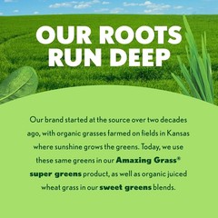 Wheat Grass Powder (8.5 Oz) – Superfood for Energy & Detox, 30 Servings