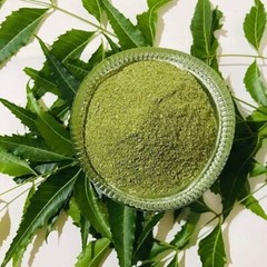 Neem Powder Azadirachta Indica Hojas De Neem Leaves Dried Natural Herbal Leaves