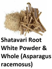 SHATAVARI SATAVARI Asparagus racemosus SATAWAR POWDER & WHOLE HERB
