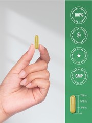 Berberine Plus Ceylon Cinnamon 2000 mg | 120 Capsules | Vegetarian | by Horbaach