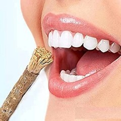 Ayurvedic Natural Organic Neem Datun Toothbrush Tree Twigs Chew Sticks 100 Pcs