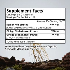 Ginkgo Biloba + Korean Red Panax Ginseng Focus Brain Memory Energy Booster