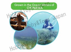 3 Boxes Fucoidan Tablet 250 Kanehide Bio Okinawa Agaricus Reishi Supplement D