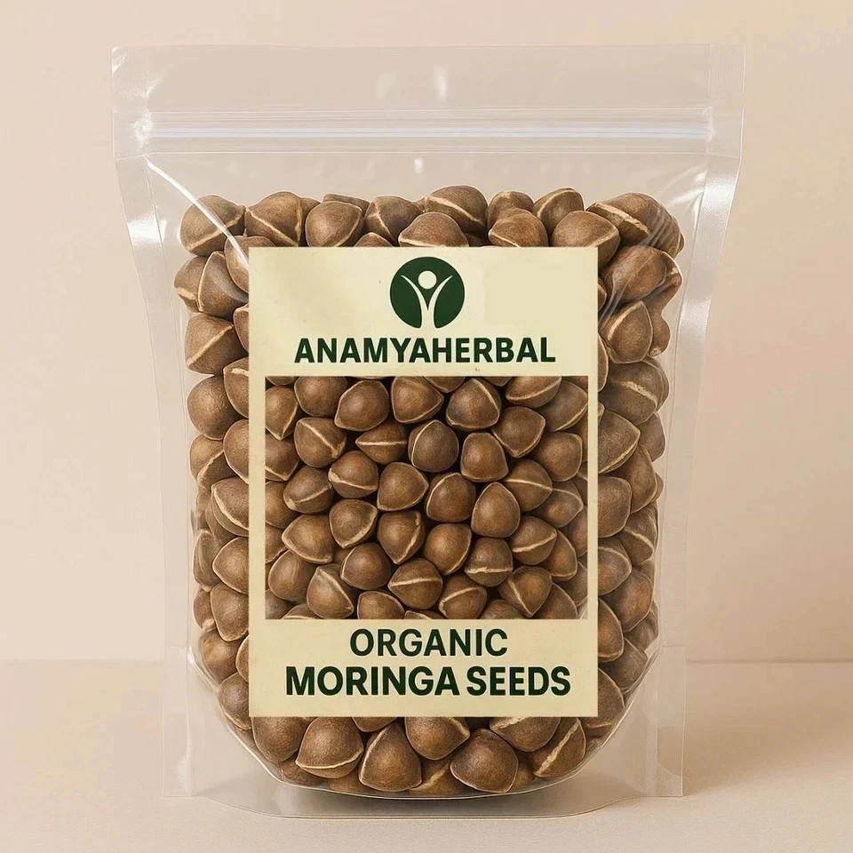 Moringa Oleifera Seeds & kernals Fresh Organic Semillas de Moringa Tree