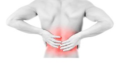 joint pain relief – PAIN RELIEF MEGA FORMULA 610MG 1B – msm powder