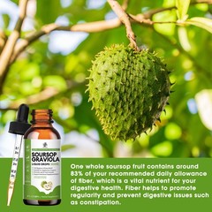 2x Pure Soursop Fruit & Leaf Extract – Digestive Support & Immune Health