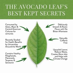 Persea americana Mill/ Avocado leaves (100g)