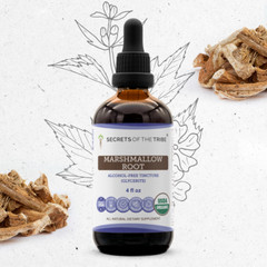 Secrets Of The Tribe Marshmallow Root Tincture Alcohol-FREE