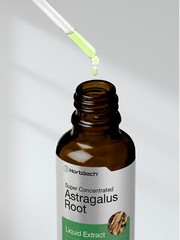 Astragalus Root Liquid Extract | 2 oz | Alcohol Free | Vegetarian | by Horbaach