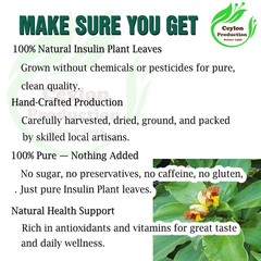 Dehydrated Insulin Plant whole leave Organic Blood Sugar Support Ayurvedic Herb