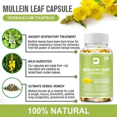 Mullein Leaf Extract 1000mg Lung Cleanse Respiratory Herbal Capsules 120-600ct