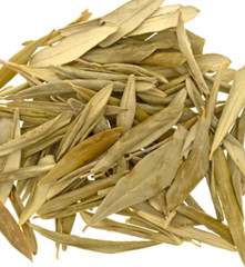 Olive Leaf Tea – Dried Organic Olive Leaf – Health Benefits Herbalism USA